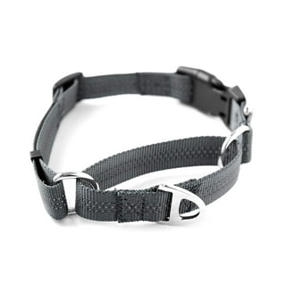 Mighty Paw Metal Buckle Dog Collar, All Metal Hardware, Lightweight Collar,  Reflective Stitching, Strong, Durable (Large, Black) 