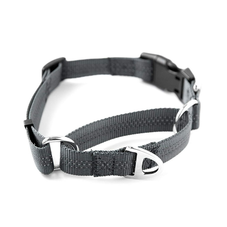 Nylon hotsell training collar