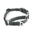 thumbnail image 1 of Mighty Paw Martingale Nylon Training Collar. Our Trainer Approved Limited Slip Collar. Modified Cinch Collar for Controlled Force for Optimal Training. Reflective Stitching to Keep Your Dog Safe!, 1 of 9