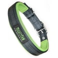 thumbnail image 1 of Mighty Paw Sport Collar 2.0 | Soft Neoprene Padded Dog Collar for Maximum Comfort. (Green) (Small), 1 of 9