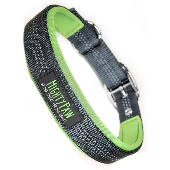 Mighty Paw Sport Collar 2.0 | Soft Neoprene Padded Dog Collar for Maximum Comfort. (Green) (Small)