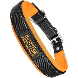 Puppy collars walmart discount