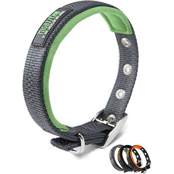 Mighty Paw Sport Dog Collar 2.0, Reflective Dog Collar, Soft Neoprene Padded for Maximum Comfort, Waterproof Dog Collars, Green, Large