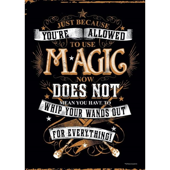 MightyPrint Harry Potter 'Whip Out Your Wand' Textual Art