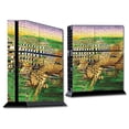 thumbnail image 1 of MightySkins SOPS4-Predators Skin for Sony PS4 Console - Predators, 1 of 4