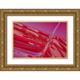 thumbnail image 1 of Miglavs, Janis 18x13 Gold Ornate Wood Framed with Double Matting Museum Art Print Titled - Detail of a classic red American car in Vieja-old Habana-Havana-Cuba, 1 of 4