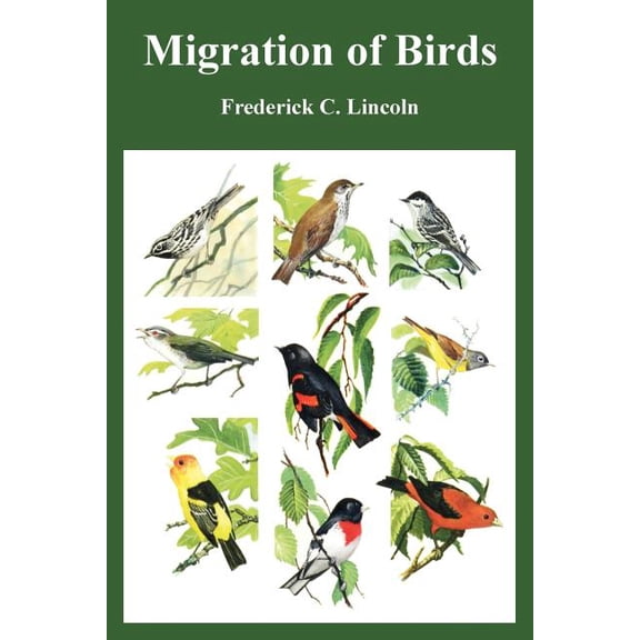 Migration of Birds (Paperback)
