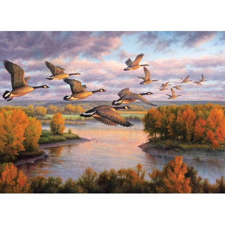 Migration