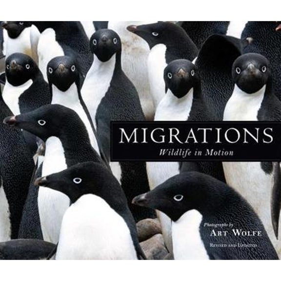 Pre-Owned Migrations: Wildlife in Motion Paperback - USED