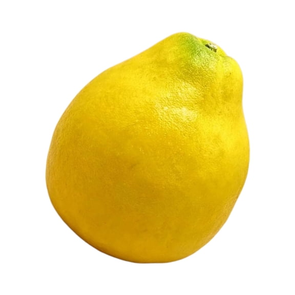 Miiottaa Plastic Simulated Citrus Fruit Decoration Yellow Grapefruit For Various Occasion