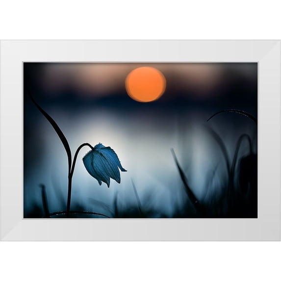 Mijer, Wil 18x13 White Modern Wood Framed Museum Art Print Titled - Q Rising Sun...Q
