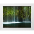 thumbnail image 1 of Mikaels, Natalie 18x15 White Modern Wood Framed Museum Art Print Titled - Paradise, 1 of 4