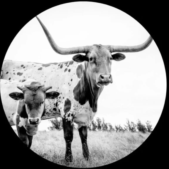 Mike Flanigin - WEST TEXAS BLUES - Music & Performance - Vinyl