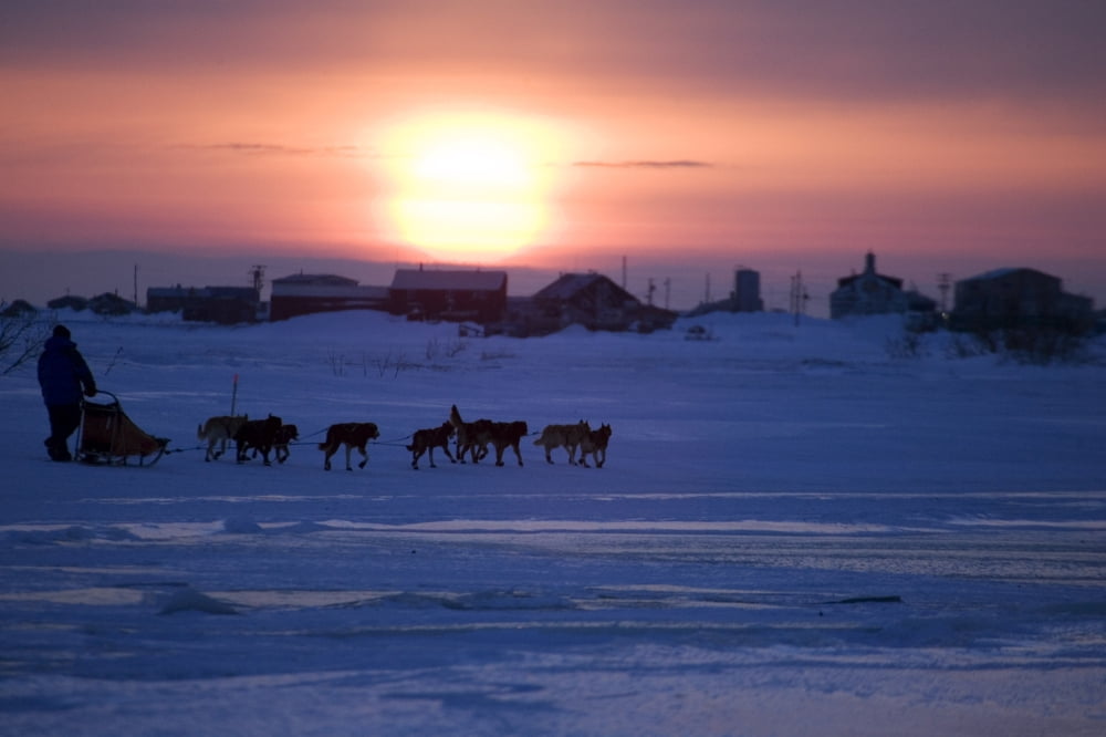 Mike Jayne Mushes Inbound To Unalakleet Into Setting Sun During 2006 Iditarod Western Alaska Winter Canvas Art - Jeff Schultz Design Pics (17 x 11)