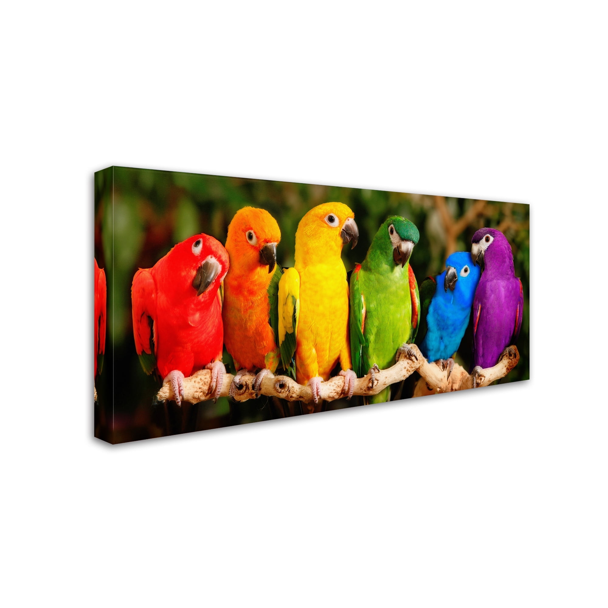 Rainbow Parrots Multicolor Canvas Wall Art 12" x 24"