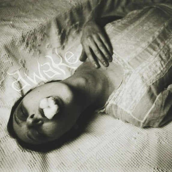 Mike Shiflet & High Aura'd - Awake - Rock - Vinyl