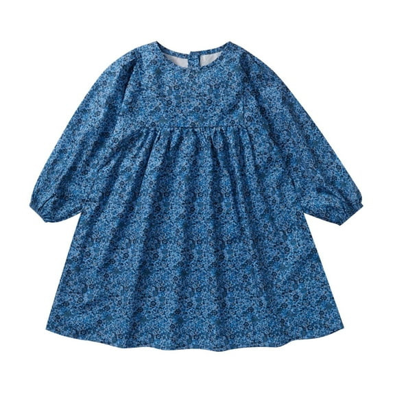 Fesfesfes Girls Long Sleeve Smocking Clothing Toddler Fall Floral Smocked Dress Vintage Dresses for Christmas Birthday Holiday