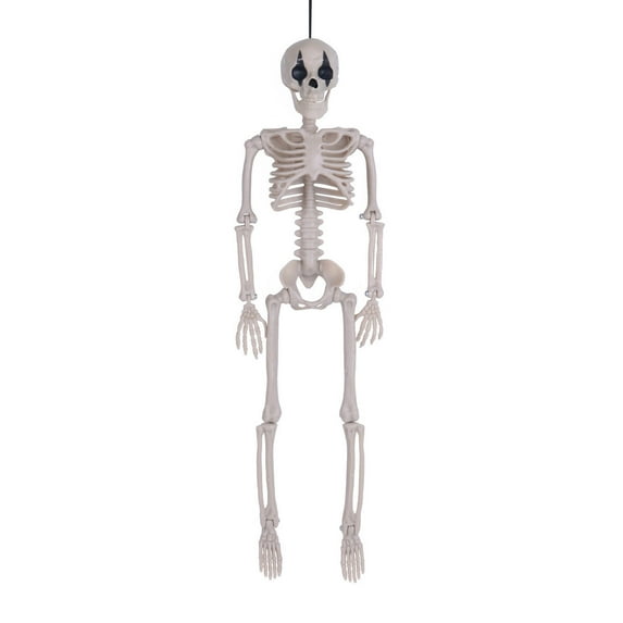 Mikilon Halloween Ornaments, Halloween Skeleton Plastic Human Skull Pendant Foldable Decoration, as show