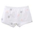 thumbnail image 1 of Mikilon Little Girls Cotton Boy Shorts Toddler Panties Baby Princess Underwear, 1 of 3