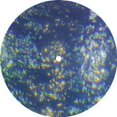 thumbnail image 1 of Mikkel Metal - Without - Electronica - Vinyl, 1 of 1