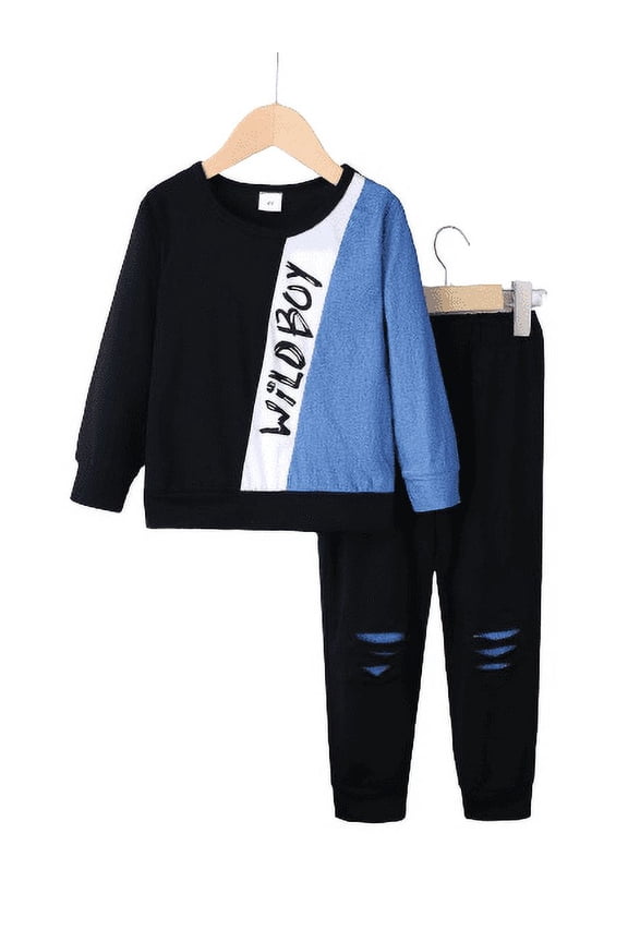 6 Years Little Boys Clothes 4Y,5Y,6Y Kid Boys Color Block Letter Graphics Spring Fall Tops Elastic Ripped Pants 2Pcs Casual Outfit Sets Blue