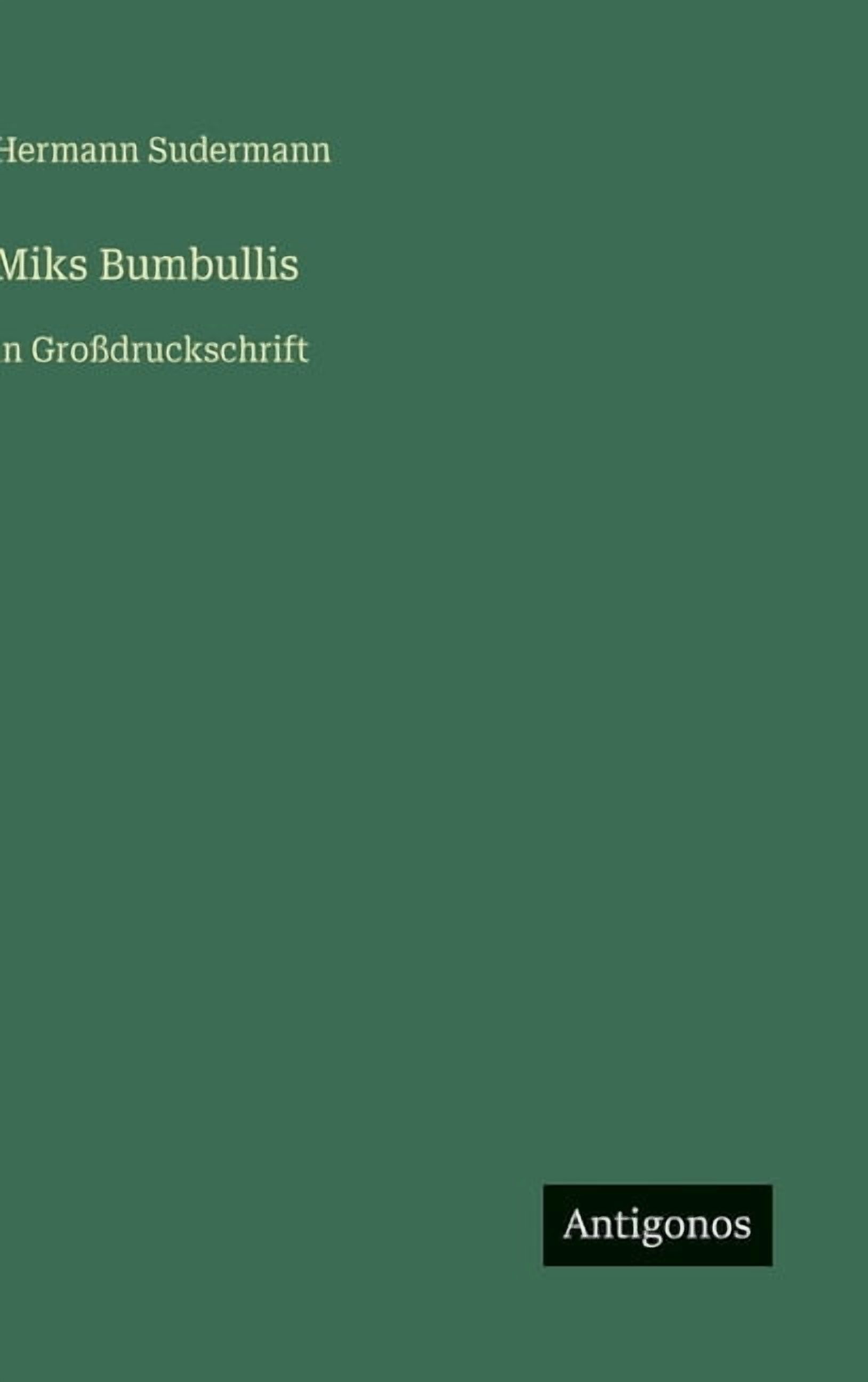 Miks Bumbullis: in GroÃdruckschrift, (Hardcover)