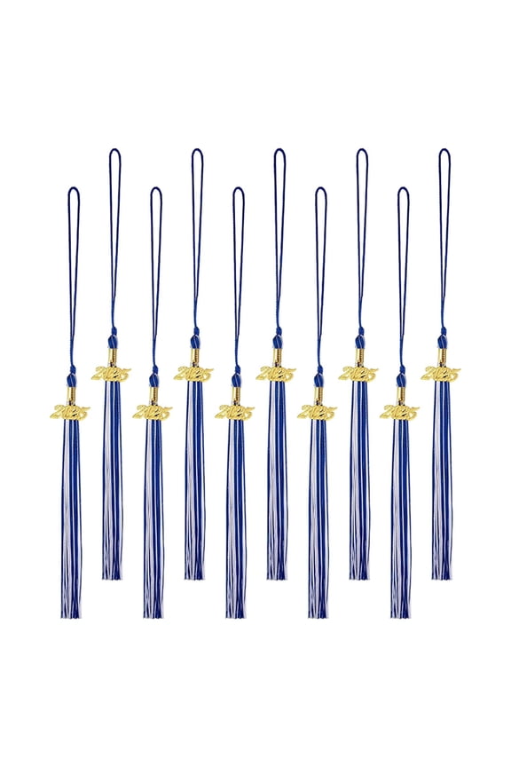 10 Pieces 2025 Grad Graduation Tassels Grad Hat Accessories for Academic Cap blue white