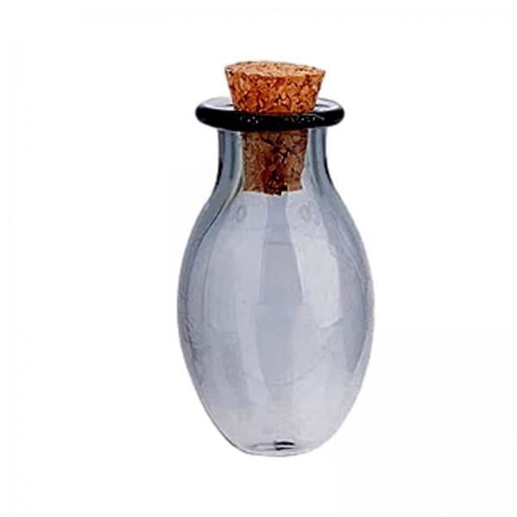 Milageto 2-6pack Mini Glass Bottles Vials Cork Stoppers Empty Spell Jars Clear Wishing 2 Pcs