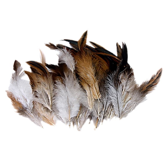 Milageto 50 Natural Rooster Feather For COQUE Hair Extension Hat DIY Craft 2 - 6 1/2 Inch