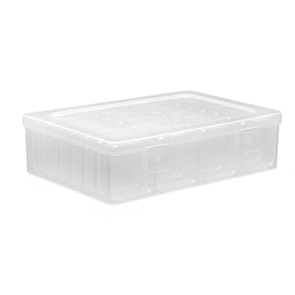 Milageto Mini Carry Case Transparent Container Beads Small Bead Storage Organizer Box 21.8cmx15cmx5.8cm