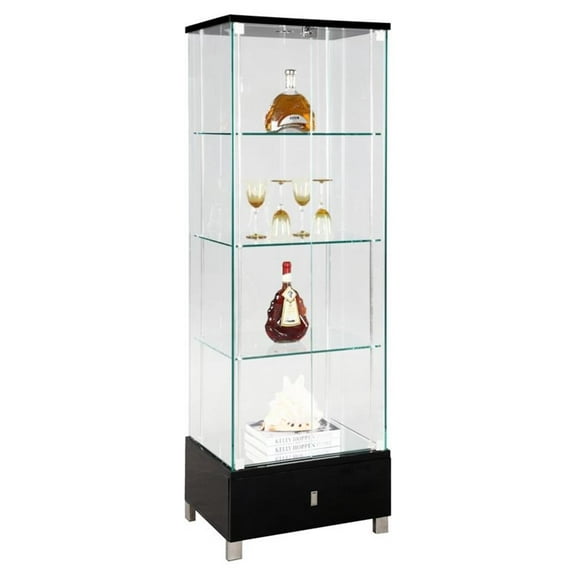 Milan Kamille 23.6" Contemporary Steel and Glass Curio Cabinet in Black/Clear