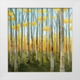 thumbnail image 1 of Milan, Vittorio 12x12 White Modern Wood Framed Museum Art Print Titled - Birch Woods II, 1 of 4