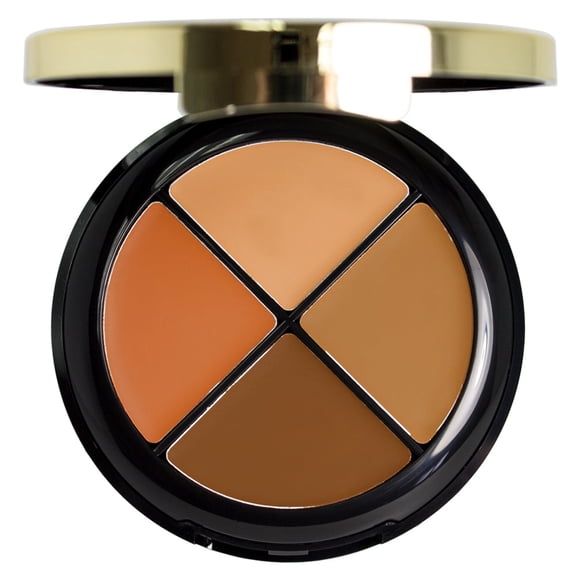 Milani Conceal + Perfect All-in-One Concealer Kit