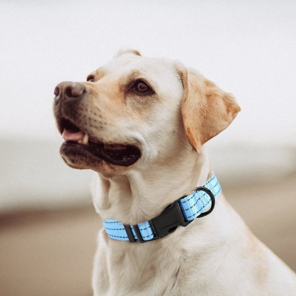 Mile High Life Dog Collar | Nylon Reflective Dog Collars | Light Weight Puppy Collars | Blue Dog Collars for Large Dogs (Solid Blue, Large)