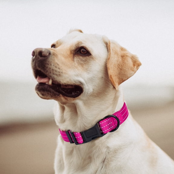 Mile High Life Dog Collar | Nylon Reflective Dog Collars | Light Weight Puppy Collars | Pink Dog Collars for Large Dogs (Solid Pink, Large)