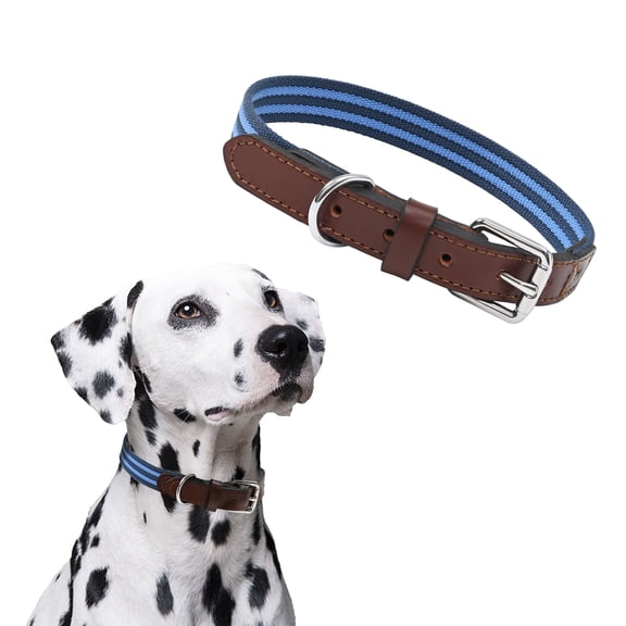 Mile High Life | Genuine Leather Dog Collar | Heavy Duty Canvas Dog Collars with Adjustable Rust-Proof Metal Pin Buckle | Boy Dog Collars for Small Dogs(blue)