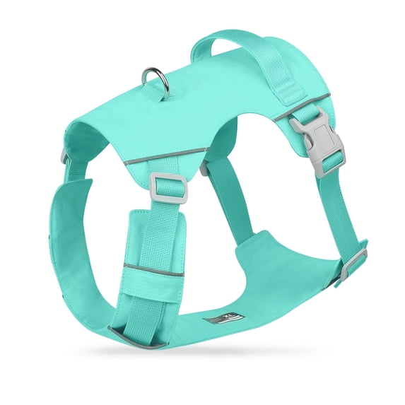 Mile High Life No Pull Dog Harness with Reflective Stripe, Adjustable Easy Get on Lightweight Harness for Small Medium Large Dogs Walking Running Training (Green, M Chest 18"-25")