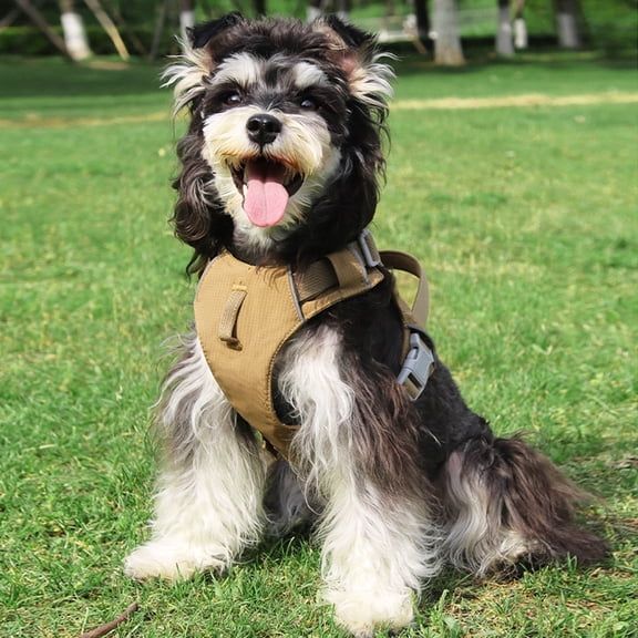 Mile High Life No Pull Dog Harness with Reflective Stripe, Adjustable Easy Get on Lightweight Harness for Small Medium Large Dogs Walking Running Training (Khaki, L Chest 21"-28")