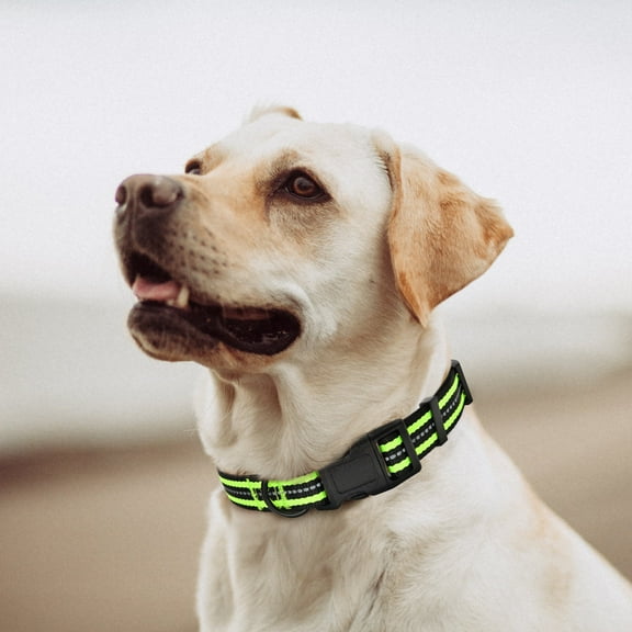 Mile High Life Reflective Dog Collar | Nylon Pet Collars wiith Buckle | Light Weight Puppy Collars | Lime Green Dog Collars for Medium Dogs Lime Green