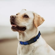 Mile High Life Reflective Dog Collar | Nylon Pet Collars wiith Buckle | Light Weight Puppy Collars | Red Dog Collars for Large Dogs Blue