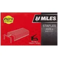 thumbnail image 1 of Miles Staples 23/8-H MT, 1 of 1