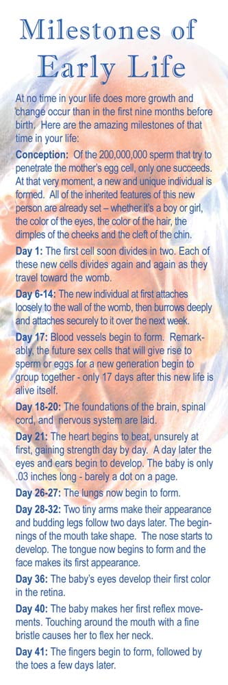 Milestones of Early Life Pro-Life Bookmark (Pack of 100)