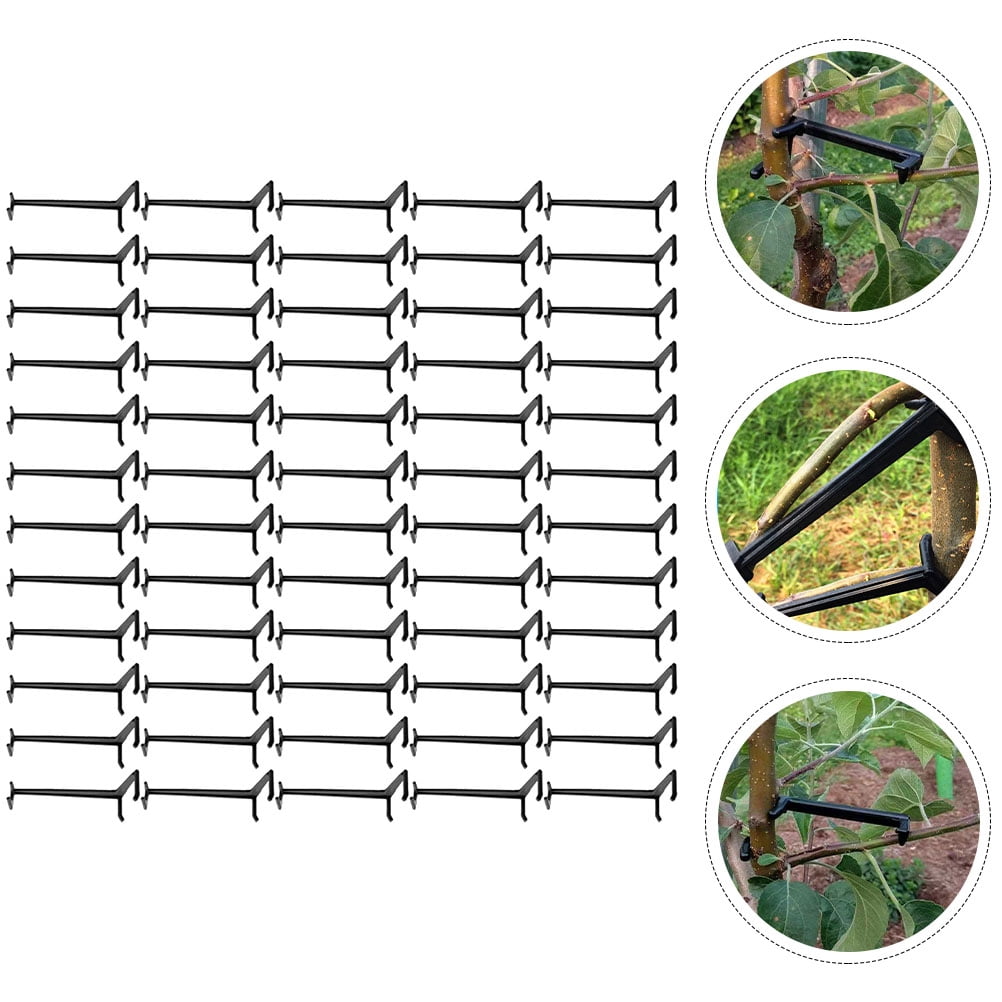 Milisten 100 Pcs Adjustable Black Plastic Branch Spreaders for Fruit ...