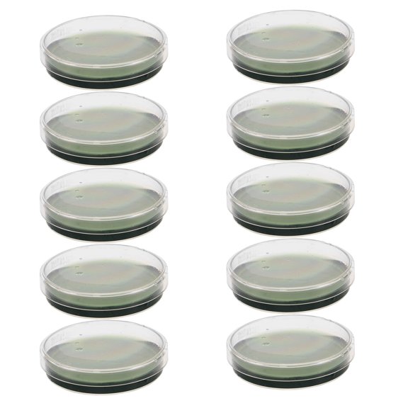 Milisten 10Pcs Nutrient Agar Plates for Laboratory Use Optimized for Science Project Cultivation