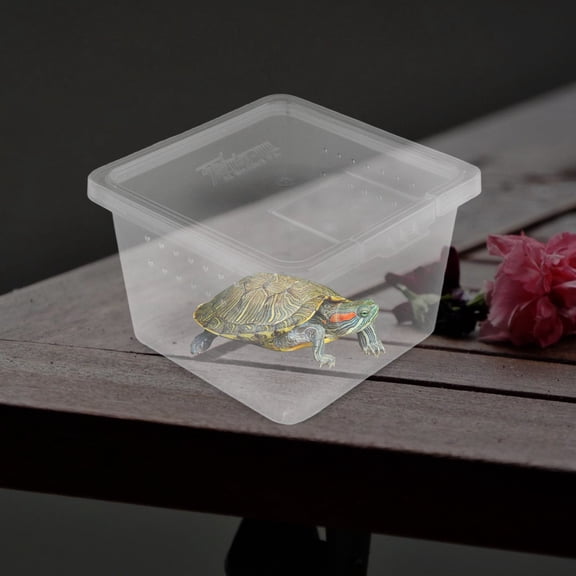 Milisten 10Pcs Small Reptile Habitat Tank Clear Terrarium for Spider Frog and Cricket Breeding