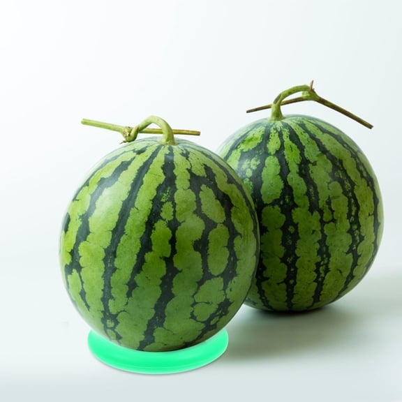 Milisten 10-Pack Fruit Holders Watermelon Stand Circles for Fruit Display, Stall Decoration, and Kitchen Organization