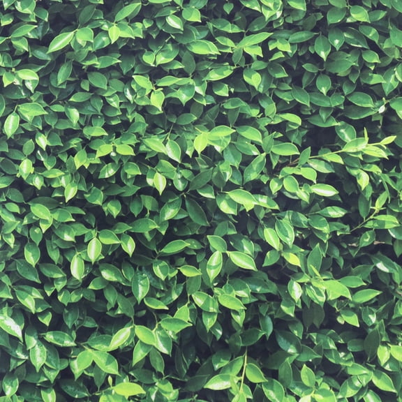 Milisten 1Pc Grass Background Cloth Green Photo Backdrop Screen for Photography Use and Studio Props