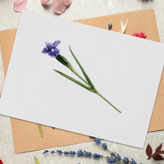 Milisten Tall Fake Flowers Iris Purple 1Pc Weatherproof Pu Material