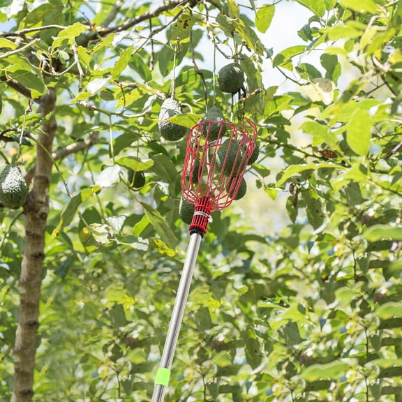 Milisten Fruit Picker Tool Set with Extendable Pole and Cushioned Basket for Effortless Harvesting from Trees
