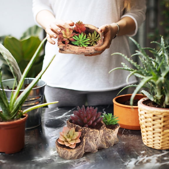 Milisten 2Pcs Concrete Succulent Pots Tree Stump Style Coffee Color Durable Garden Use